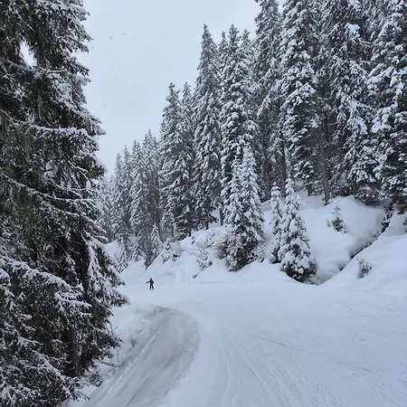 Mountain View With Private Sauna