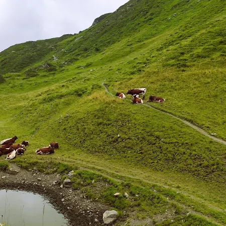 Mountain View With Private Sauna Apartmán Bad Hofgastein